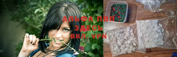 сатива Наволоки