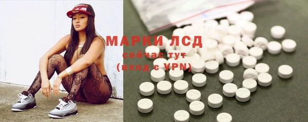 тгк Нея