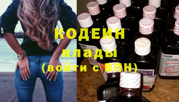 тгк Нея
