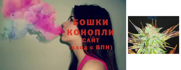 тгк Нея