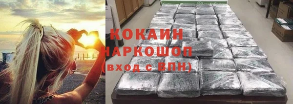 сатива Наволоки