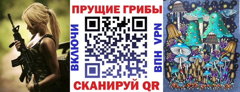 Псилоцибиновые грибы Psilocybe  Купить где  Ленинск 